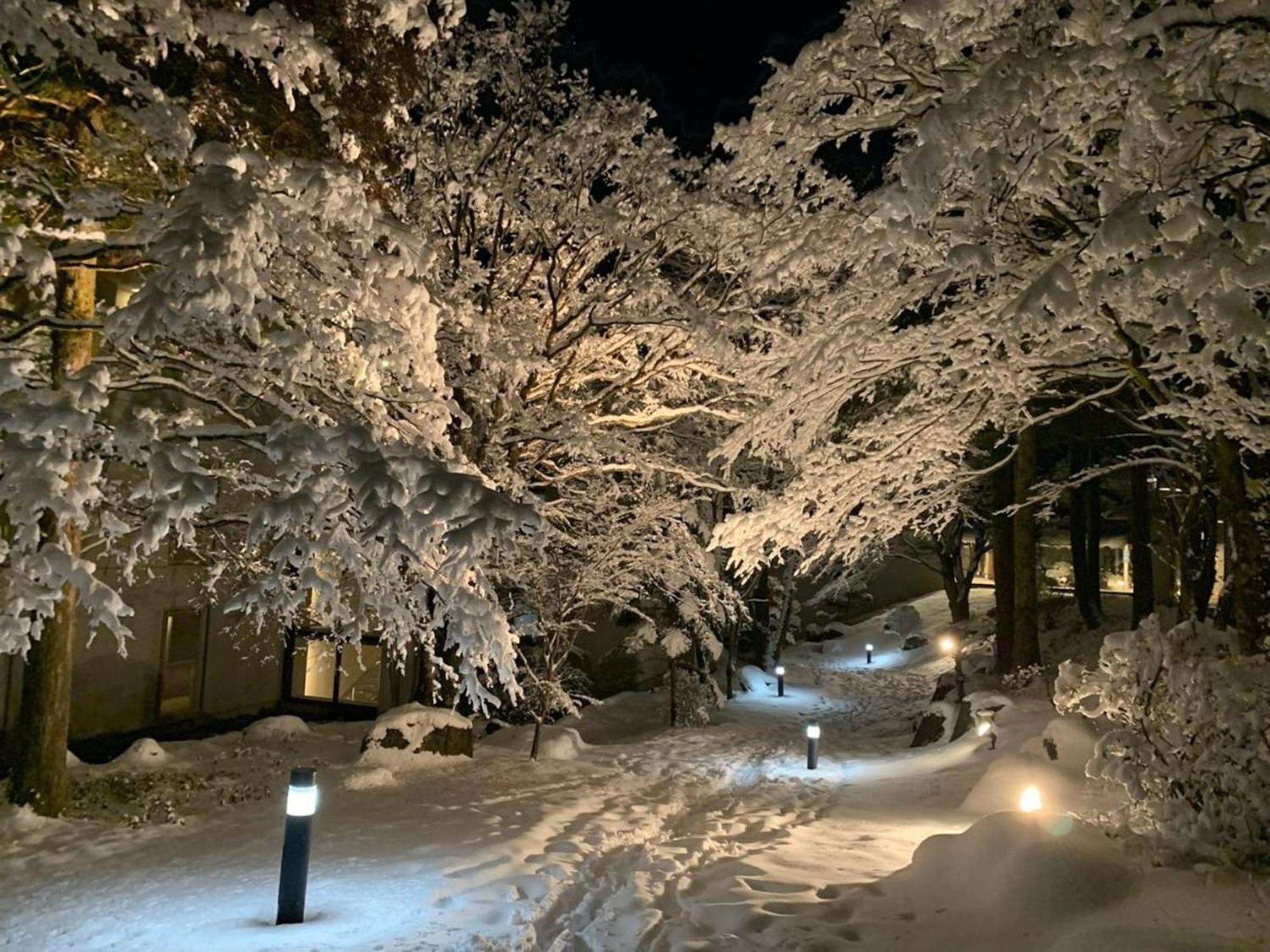 Hakone Yunohana Prince Hotel Kanagawa Esterno foto