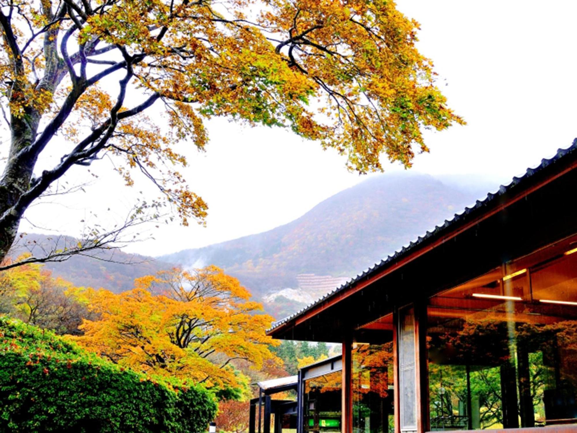 Hakone Yunohana Prince Hotel Kanagawa Esterno foto