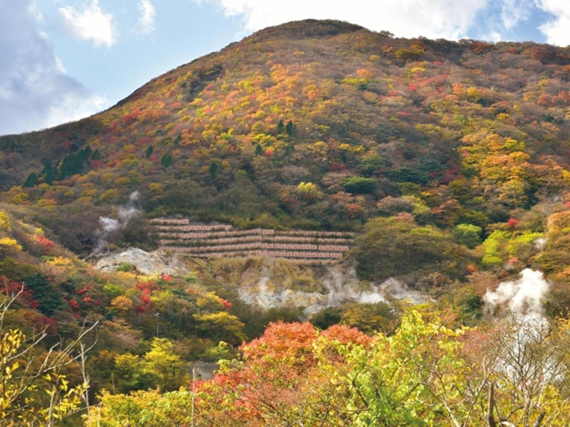 Hakone Yunohana Prince Hotel Kanagawa Esterno foto