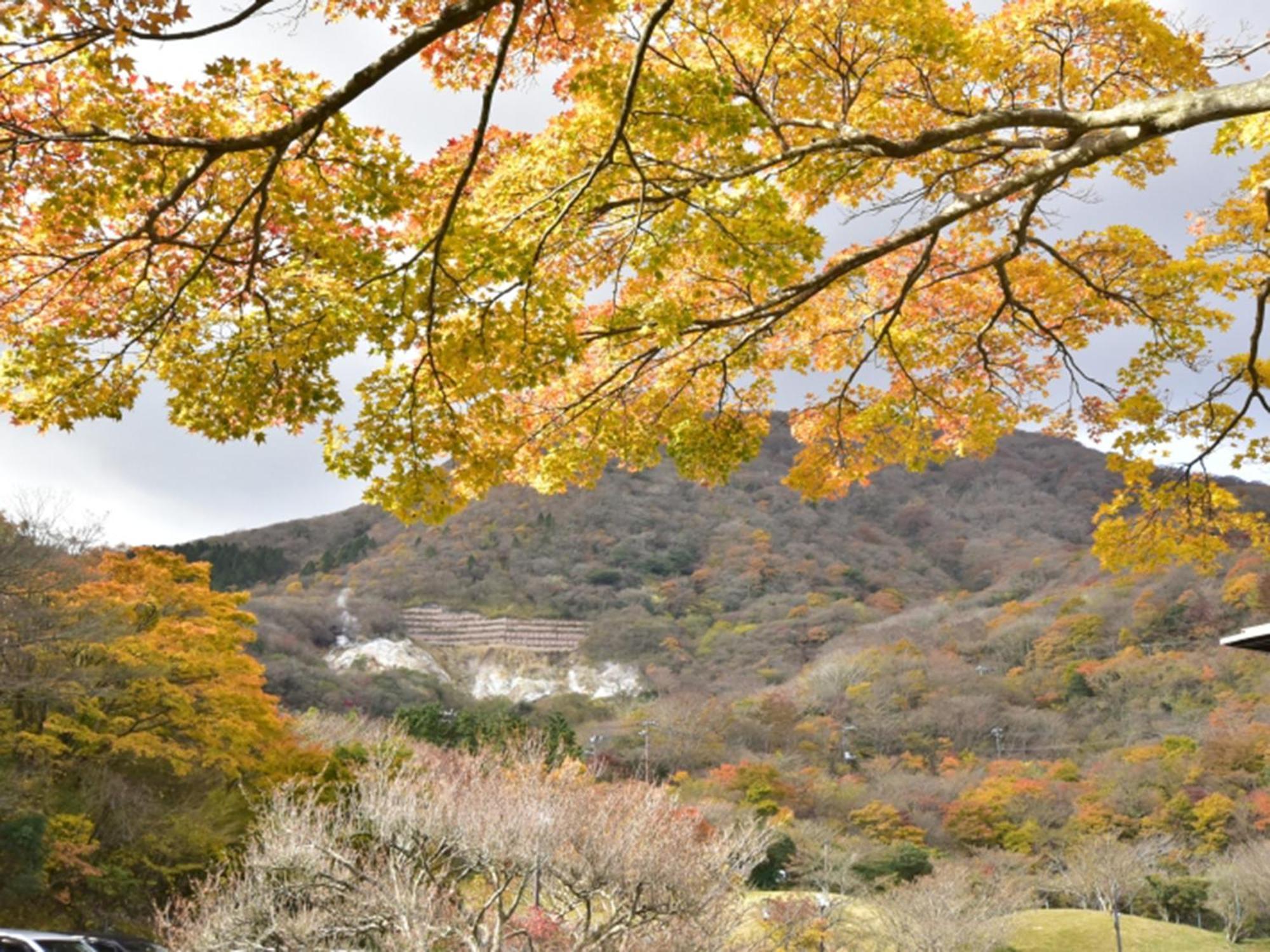 Hakone Yunohana Prince Hotel Kanagawa Esterno foto