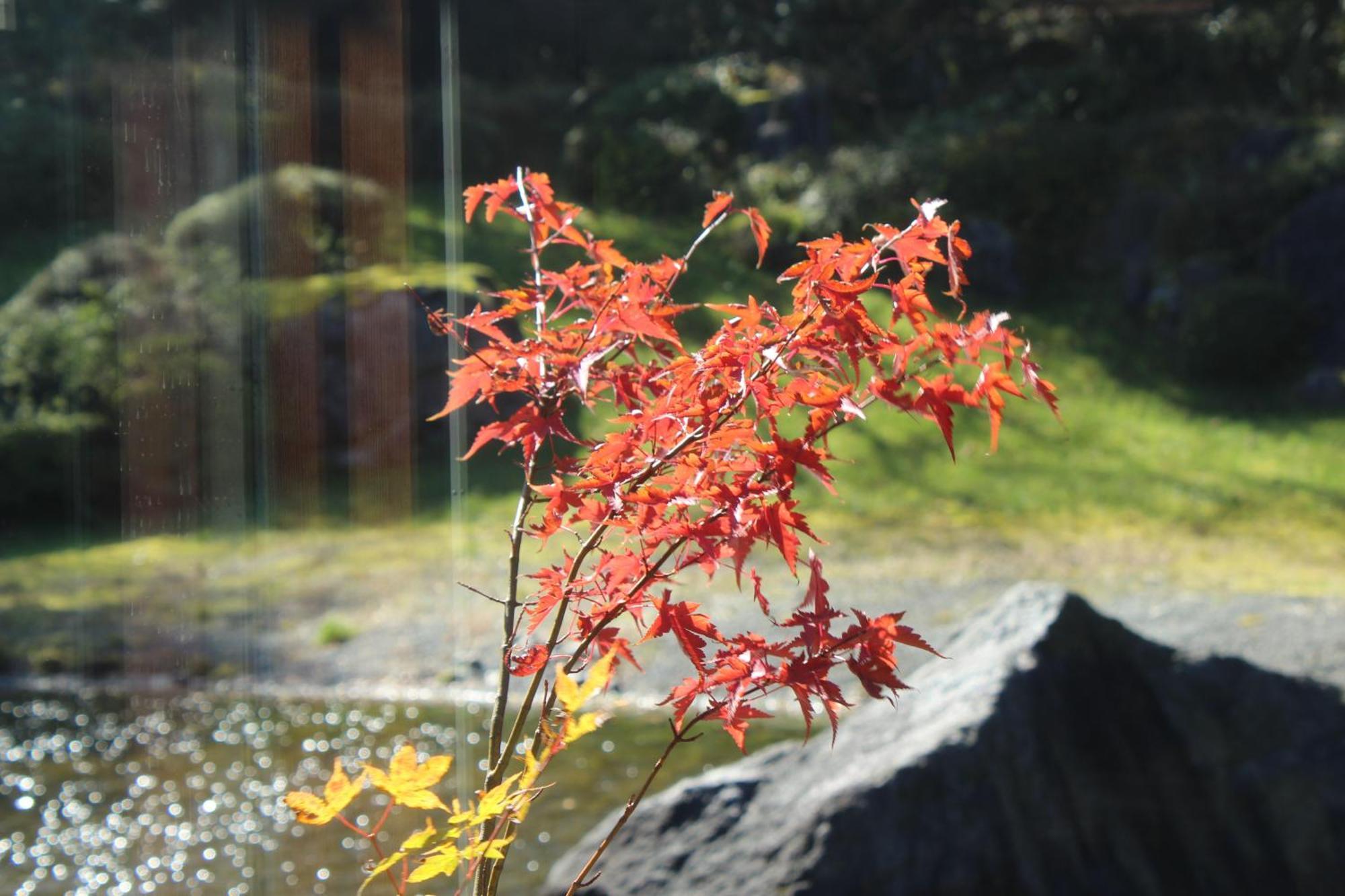 Hakone Yunohana Prince Hotel Kanagawa Esterno foto