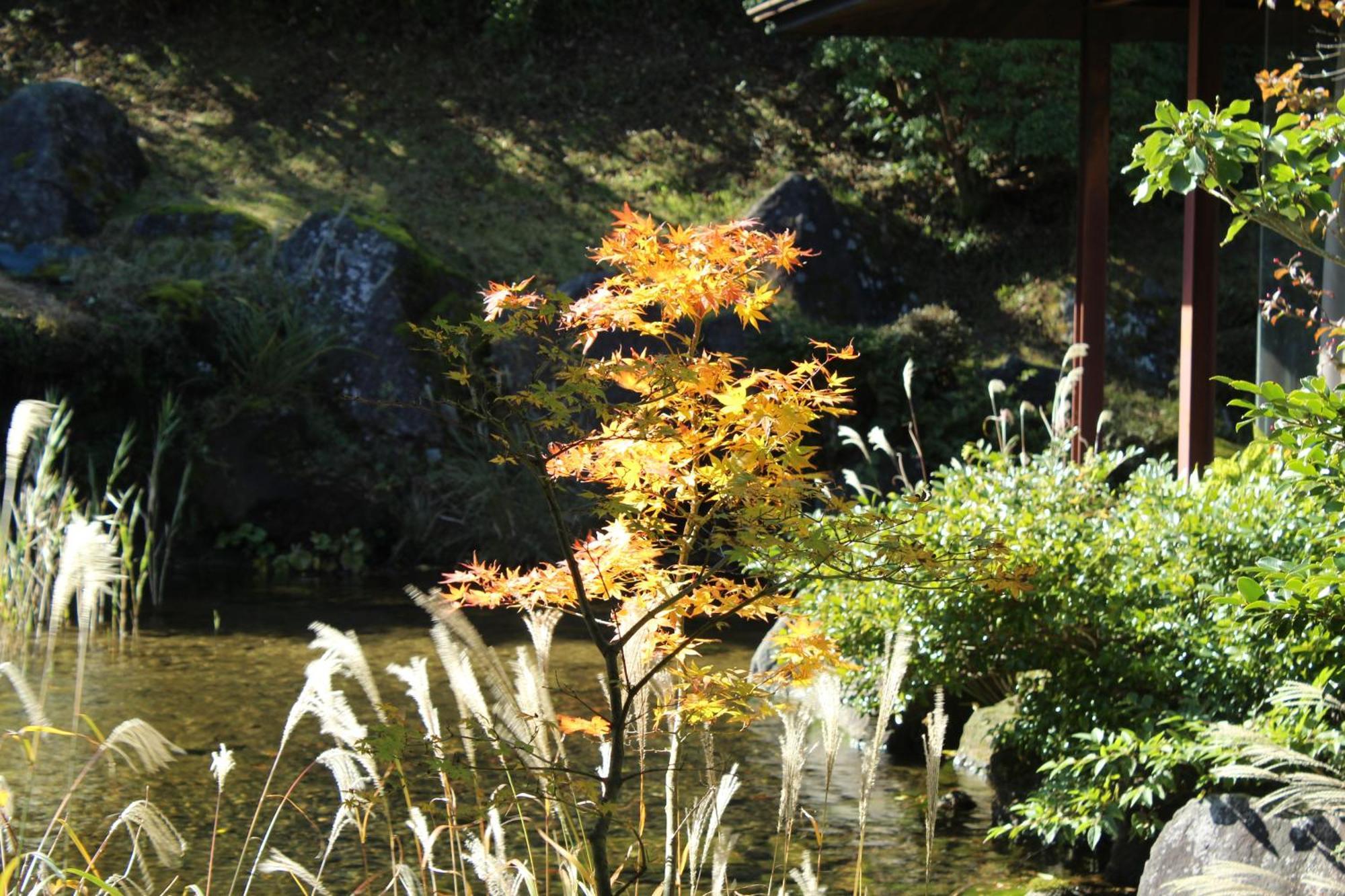 Hakone Yunohana Prince Hotel Kanagawa Esterno foto